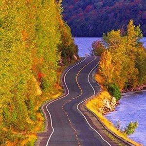 Meet your Posher, Joy